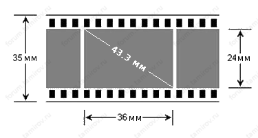 По каким параметрам выбирать фотоаппарат